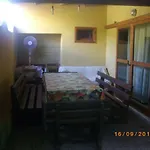 Wanda * Palmi