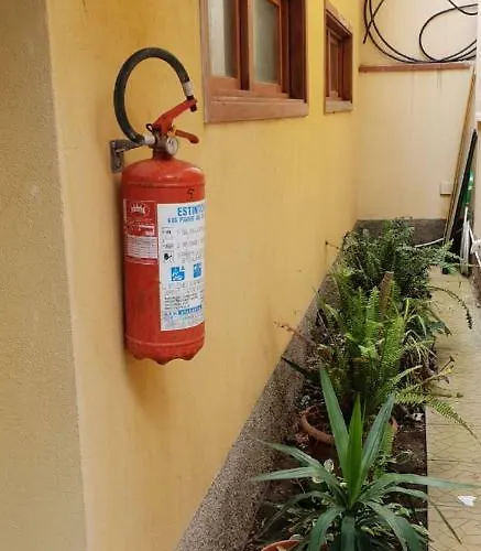 公寓 Wanda 帕尔米